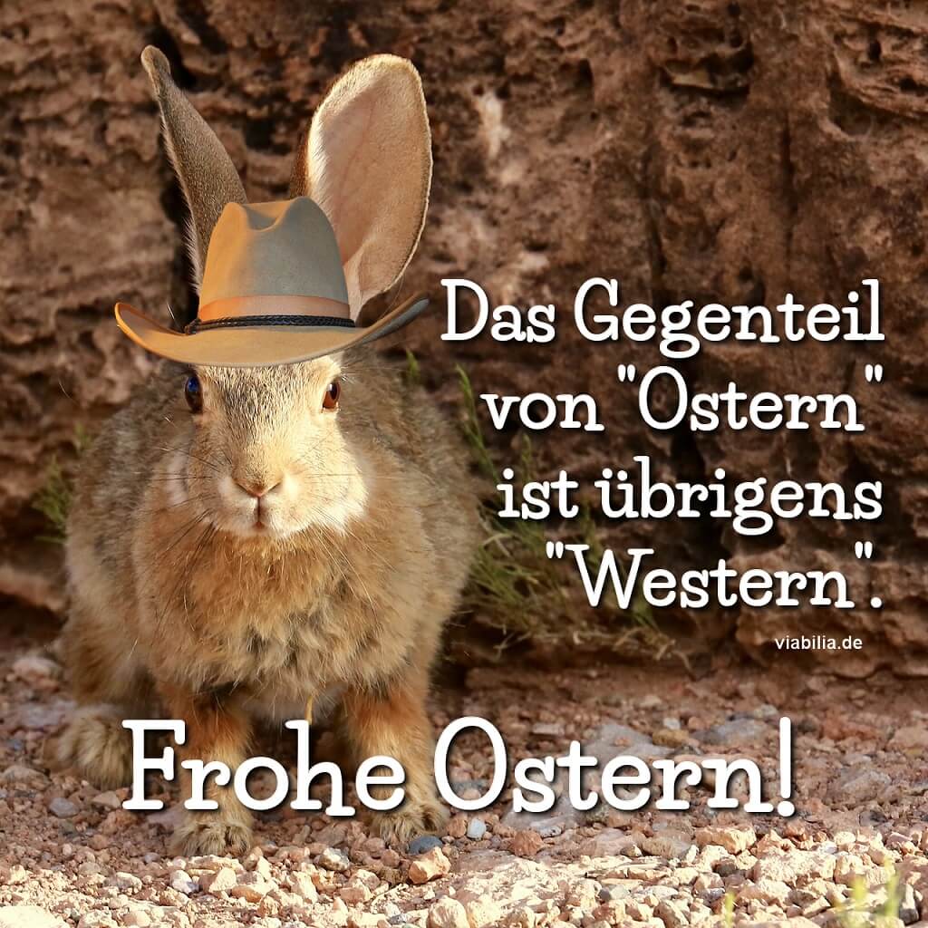 Weiterschicken Lustige Bilder Für Whatsapp Zum Verschicken