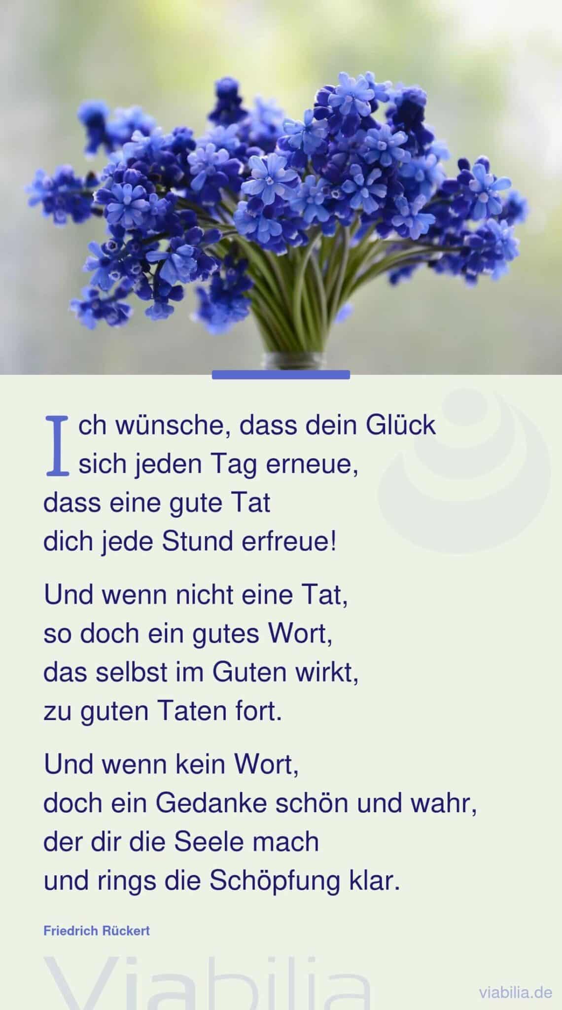 Liebe Geburtstagsgedichte - modern und klassisch