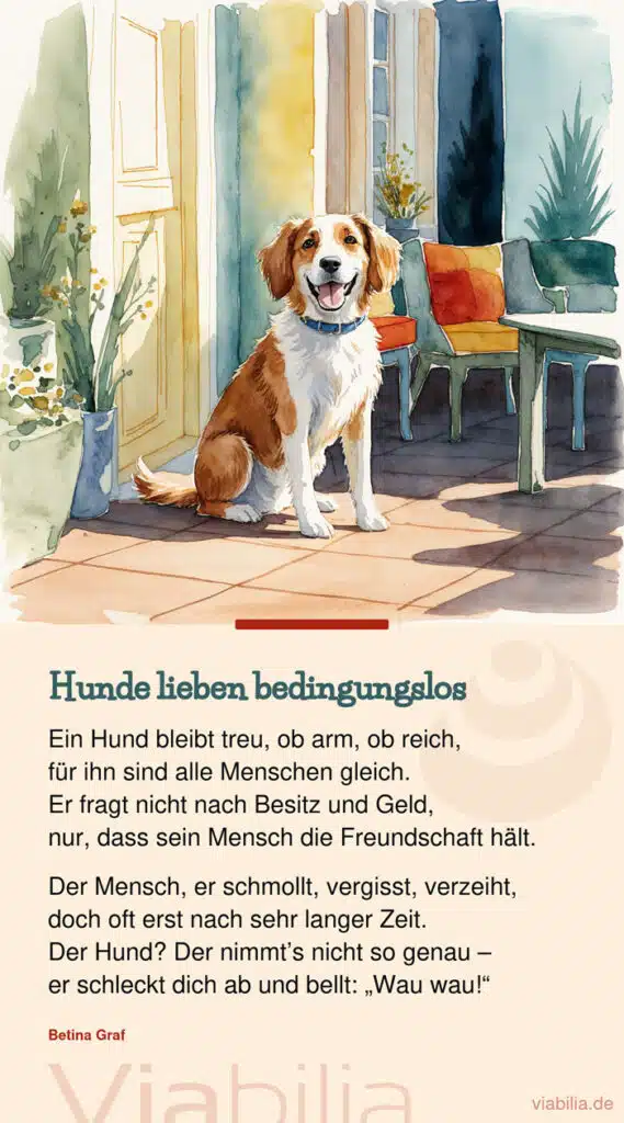 Hunde lieben bedingungslos Spruch bzw. Gedicht