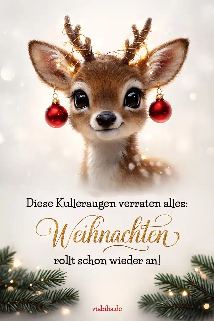 Lustige Adventsgrüße: Weihnachten rollt schon wieder an! Lustige Adventsgrüße: Weihnachten rollt schon wieder an!