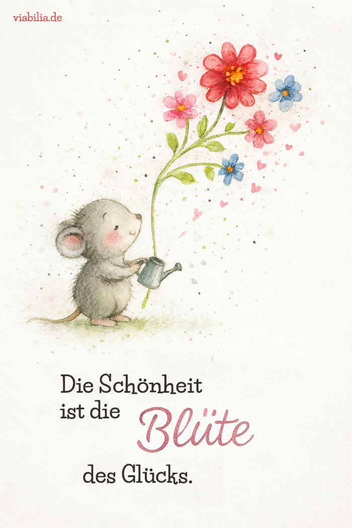 Spruch über die Schönheit und das Glück Spruch über die Schönheit und das Glück