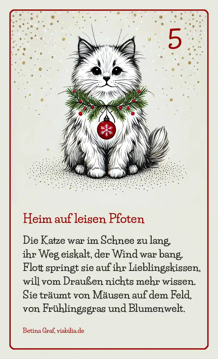 Adventskalender Tiere: Bild mit Katze und Gedicht Adventskalender Tiere: Bild mit Katze und Gedicht