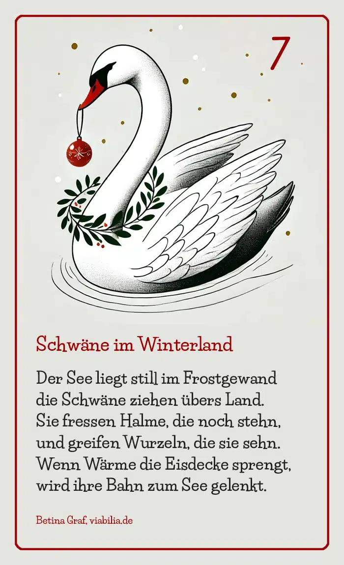 Adventskalender Bild Tier Schwan bzw. Schwäne mit Gedicht bzw. Spruch Adventskalender Bild Tier Schwan bzw. Schwäne mit Gedicht bzw. Spruch