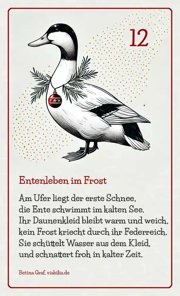 Adventskalender Bild Tier Ente mit Gedicht bzw. Spruch Adventskalender Bild Tier Ente mit Gedicht bzw. Spruch