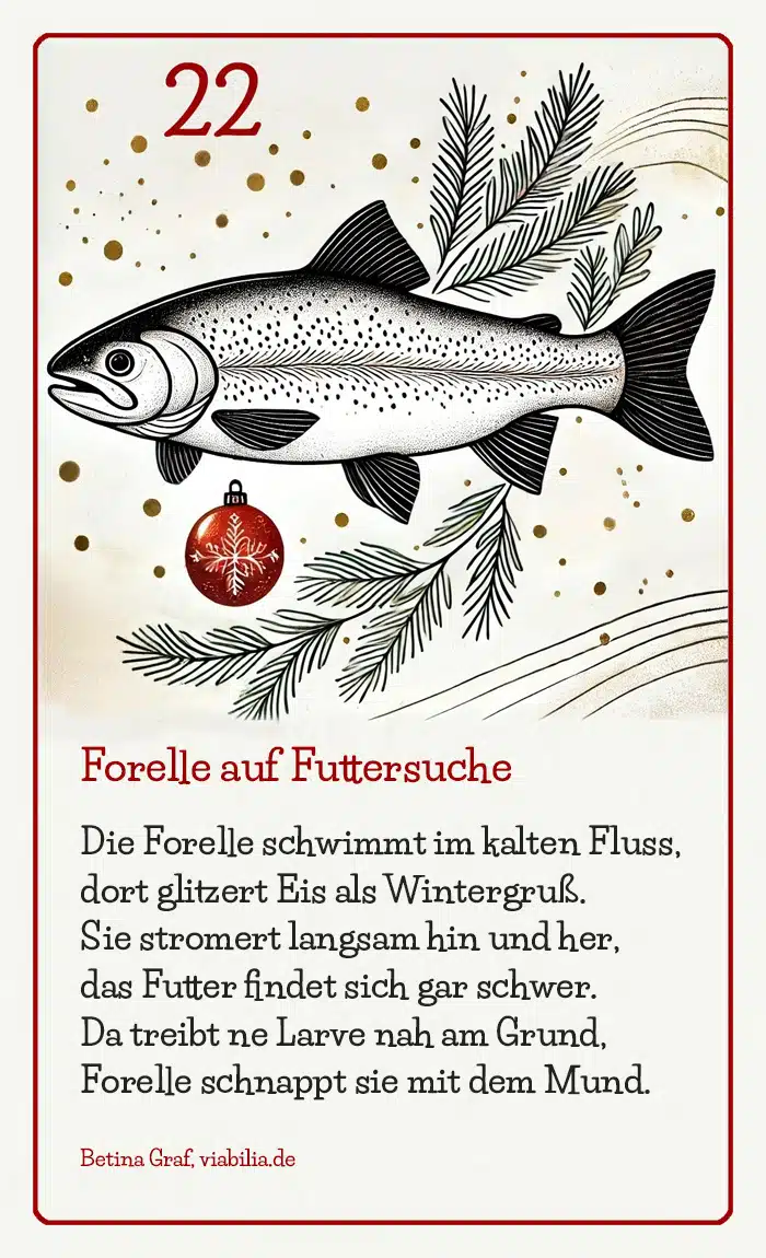 Adventskalender Bild Tier Forelle mit Gedicht bzw. Spruch Adventskalender Bild Tier Forelle mit Gedicht bzw. Spruch