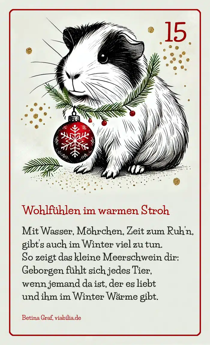 Adventskalender Bild Tier Meerschweinchen mit Gedicht bzw. Spruch Adventskalender Bild Tier Meerschweinchen mit Gedicht bzw. Spruch