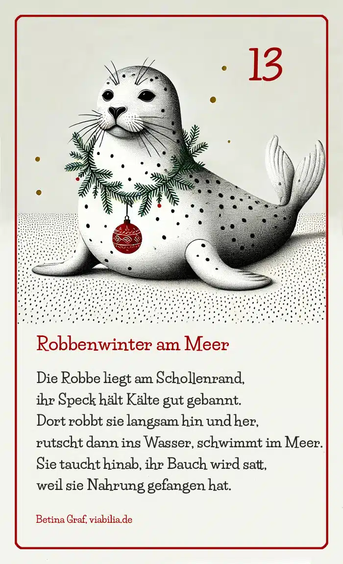 Adventskalender Bild Tier Robbe mit Gedicht bzw. Spruch Adventskalender Bild Tier Robbe mit Gedicht bzw. Spruch