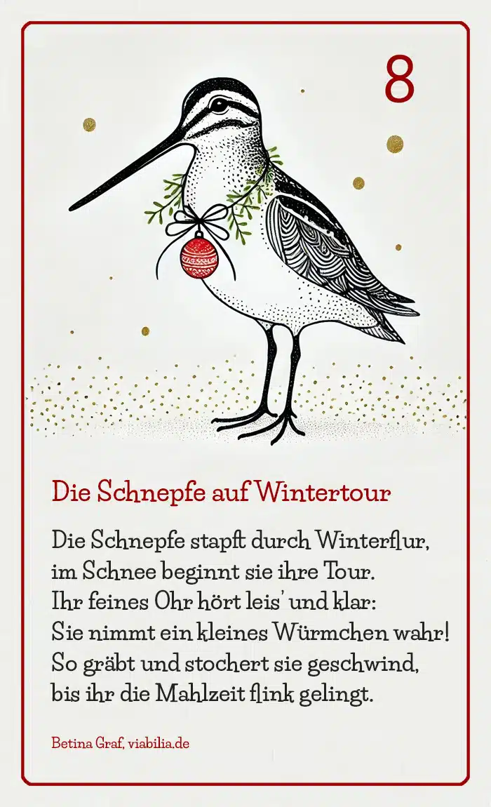 Adventskalender Bild Tier Schnepfe mit Gedicht bzw. Spruch Adventskalender Bild Tier Schnepfe mit Gedicht bzw. Spruch