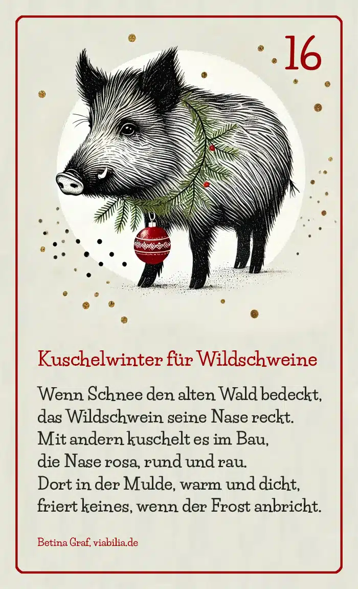 Adventskalender Bild Tier Wildschwein mit Gedicht bzw. Spruch Adventskalender Bild Tier Wildschwein mit Gedicht bzw. Spruch