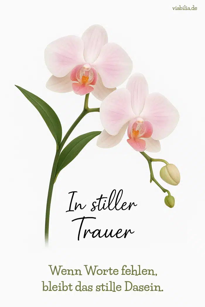 In stiller Trauer: Beileidsbekundung, zum Beispiel wenn eine nahe Angehörige wie die Mutter verstorben ist In stiller Trauer: Beileidsbekundung, zum Beispiel wenn eine nahe Angehörige wie die Mutter verstorben ist