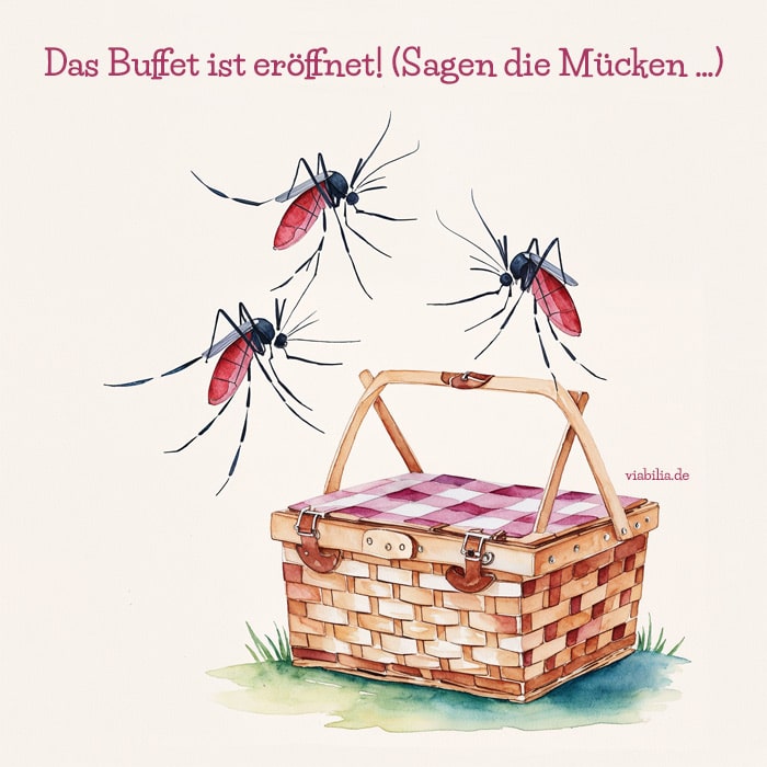 Lustiger Spruch, das Buffet ist eröffnet Lustiger Spruch, das Buffet ist eröffnet, auf dem Bild Mücken über einem Picknickkorb