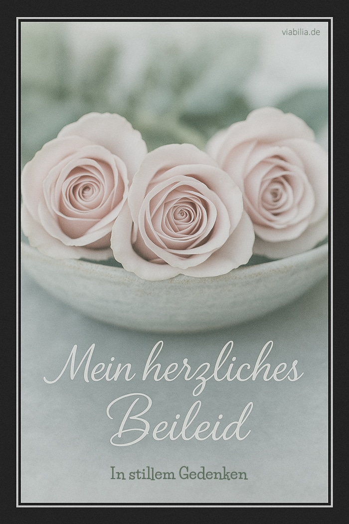 Mein herzliches Beileid, in stillem Gedenken