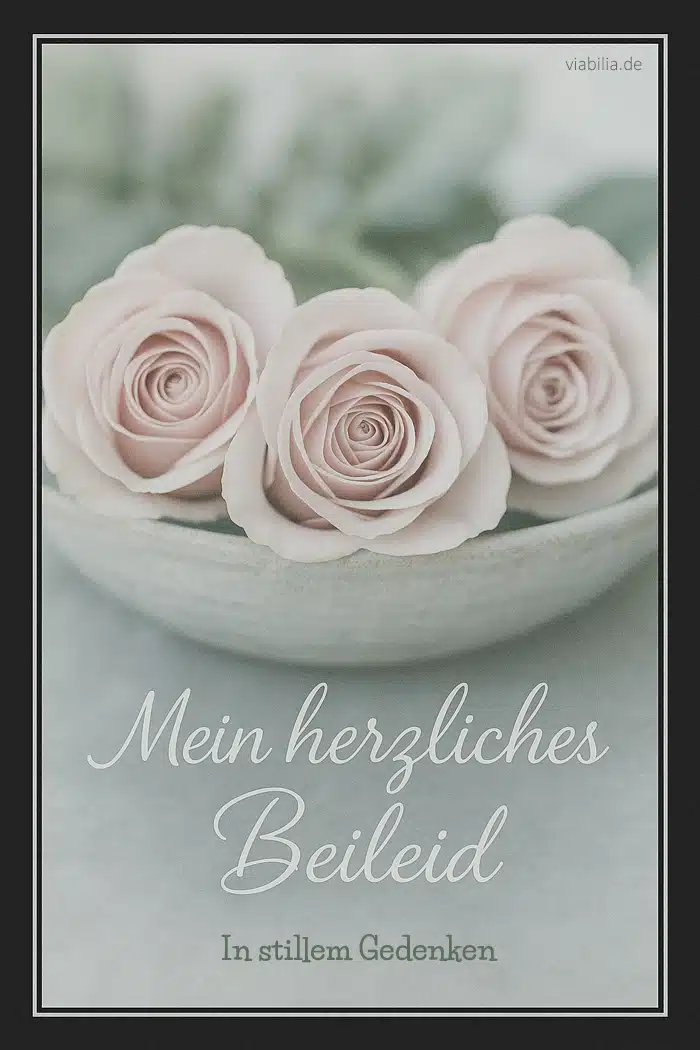 Mein herzliches Beileid, in stillem Gedenken Mein herzliches Beileid, in stillem Gedenken