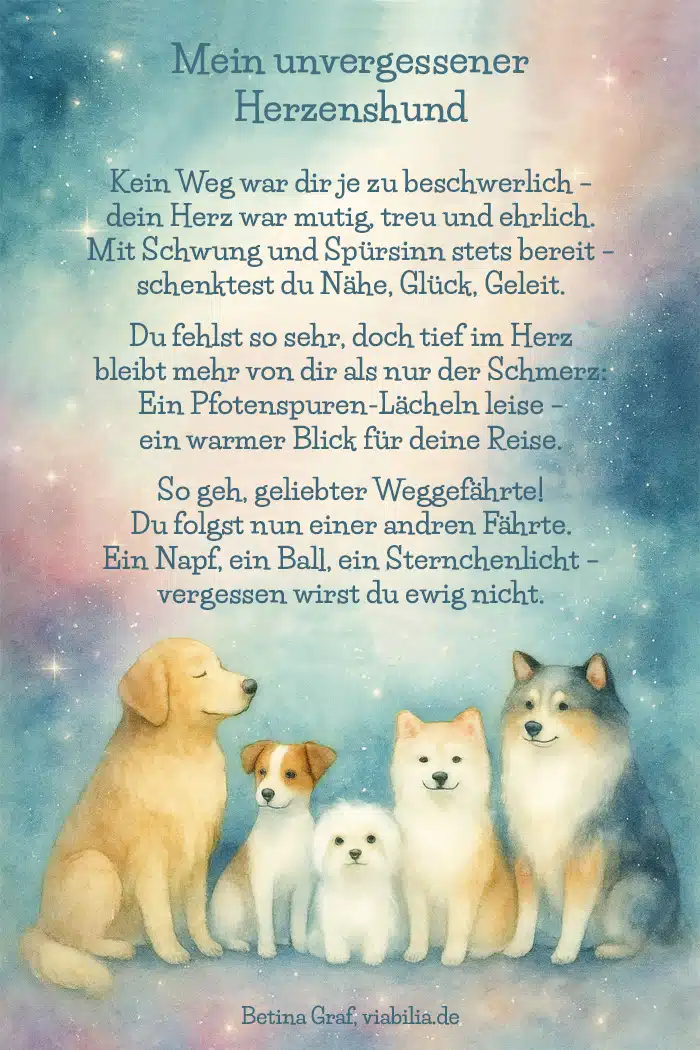 Regenbogenbrücke Hund