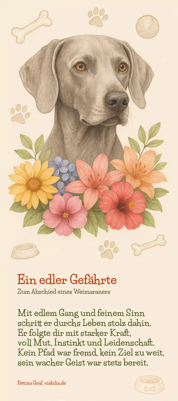 Regenbogenbrücke Gedicht Hund gestorben: Weimaraner