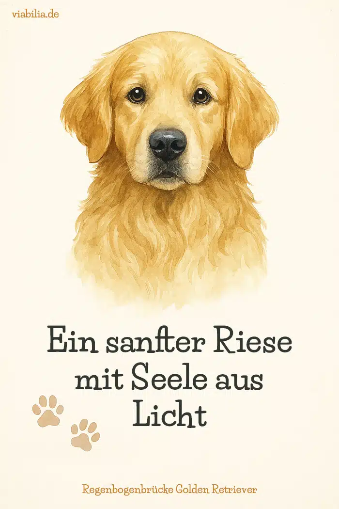 Hund gestorben, Regenbogenbrücke Hund: Bild mit Spruch, hier Golden Retriever