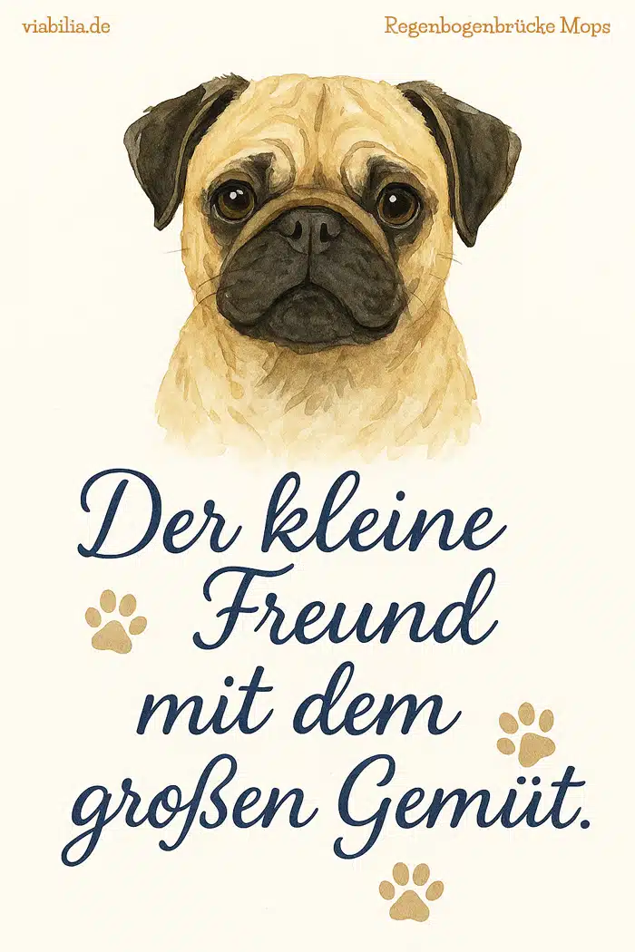 Regenbogenbrücke, Spruch zum Trost, Bild mit Hund, hier wenn ein Mops gestorben ist