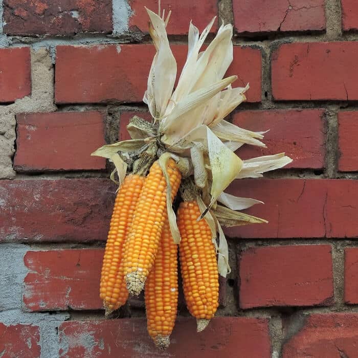 Erntedank Bilder, Sprüche und Gedichte Erntedank Bilder, Sprüche und Gedichte