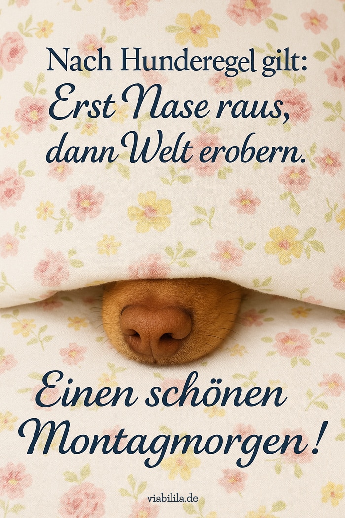 Lustiger Montagsgruß: Spruch mit Hund Lustiger Montagsgruß: Spruch mit Hund