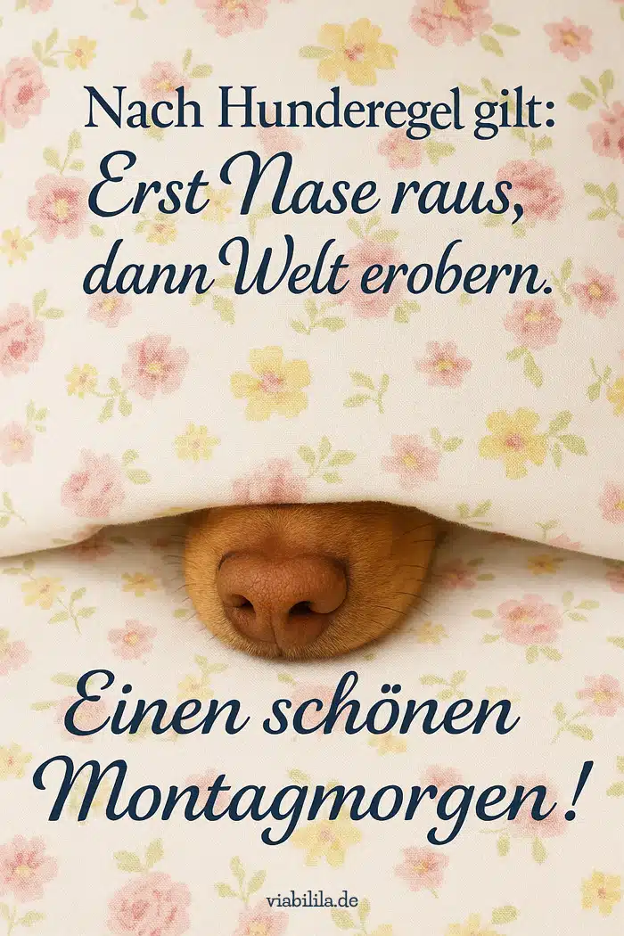 Lustiger Montagsgruß: Spruch mit Hund