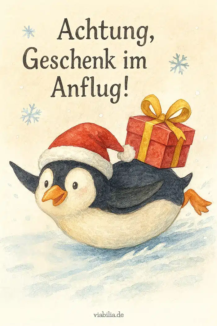 Lustiges Bild mit Pinguin: Geschenk im Anflug Lustiges Bild mit Pinguin: Geschenk im Anflug