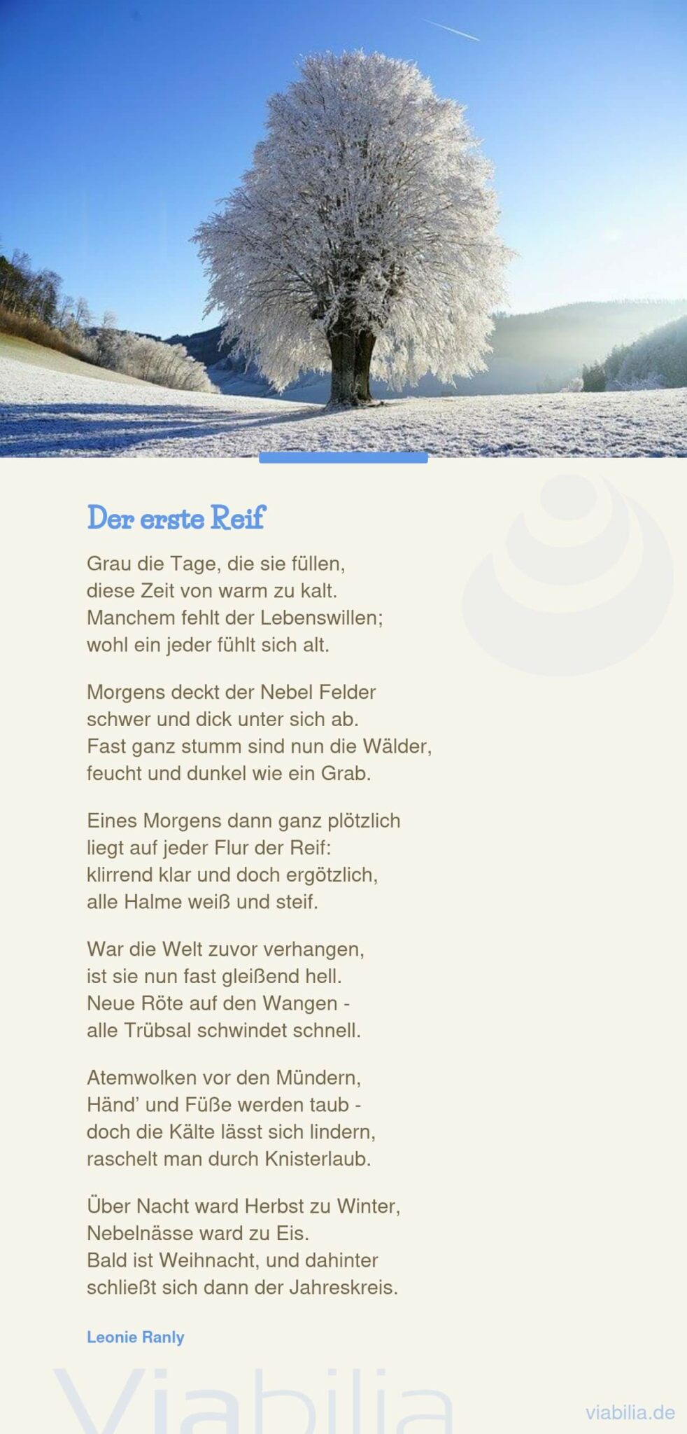 Adventsgedichte, hier modernes Gedicht: der erste Reif Adventsgedichte, hier modernes Gedicht: der erste Reif