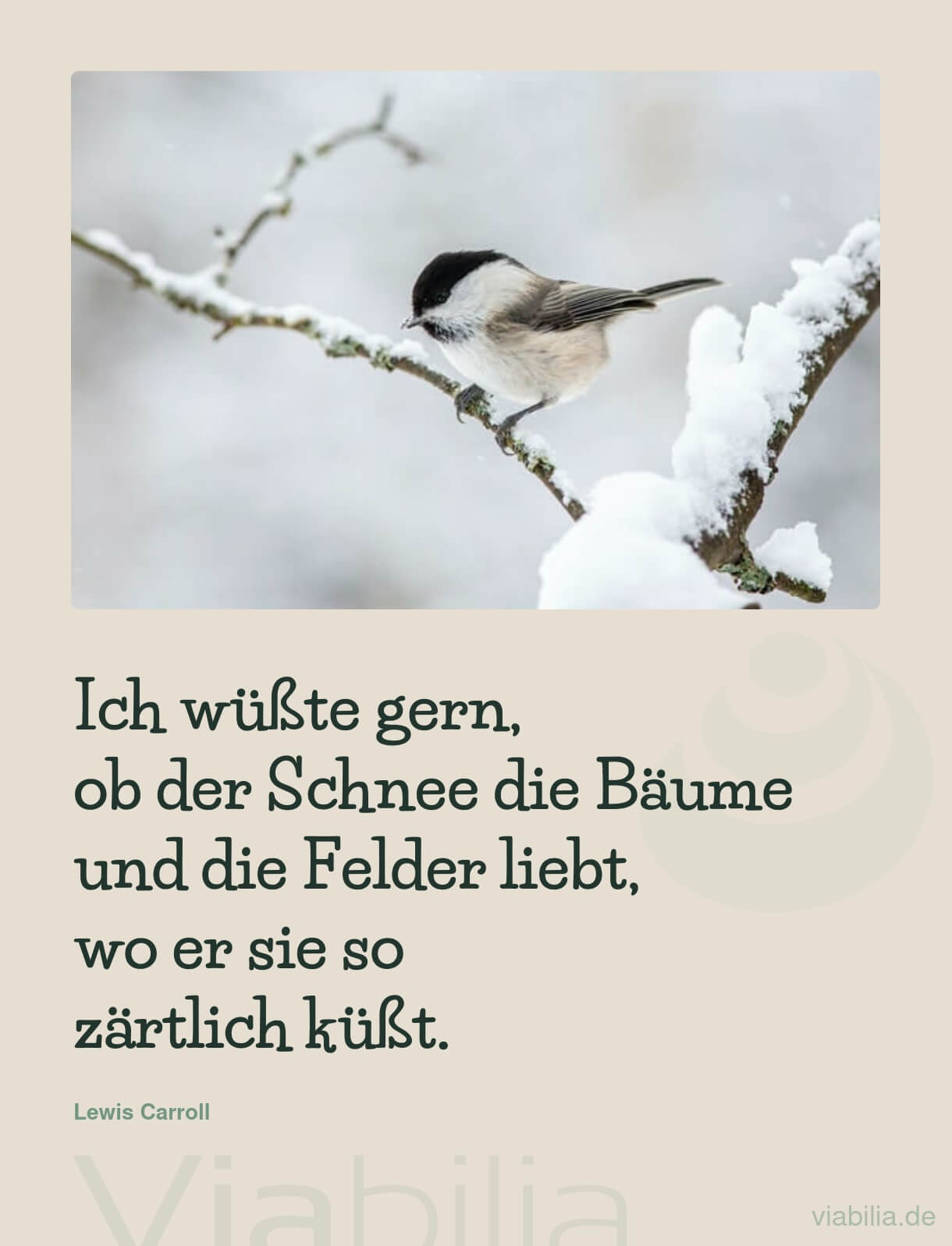 Kurzer Adventsspruch über den Schnee und die Bäume Kurzer Adventsspruch über den Schnee und die Bäume