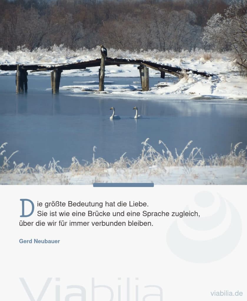 Gerd Neubauer Spruch über die Bedeutung der Liebe