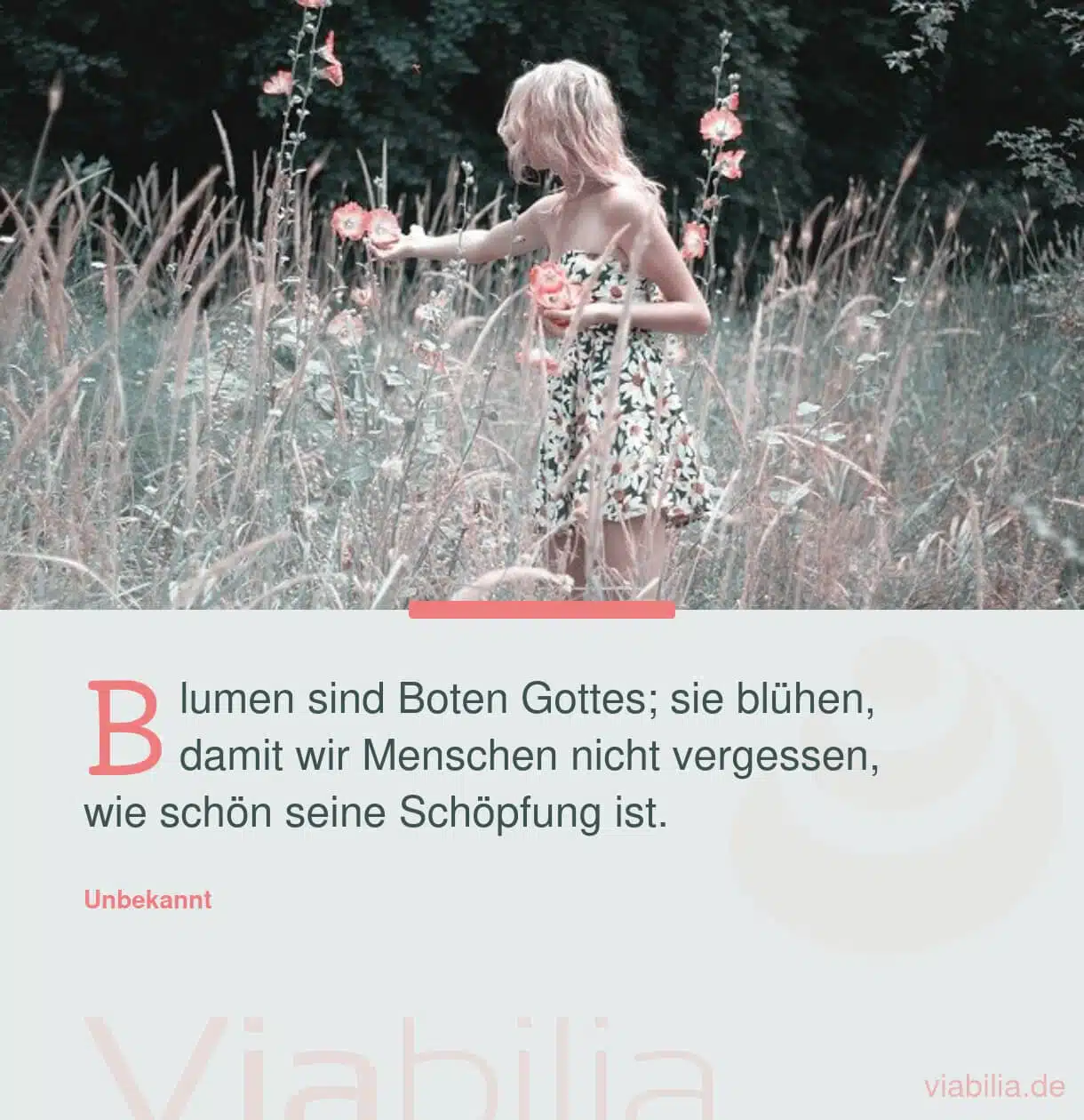 Blumen als Boten Gottes