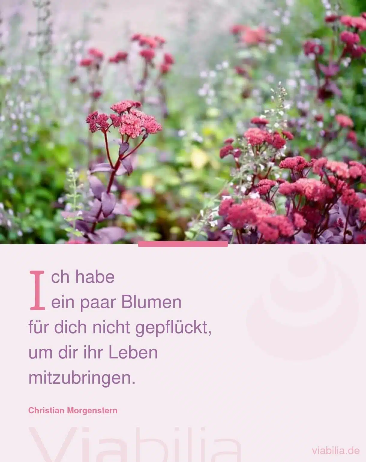 Blumenspruch: Blumen am Leben