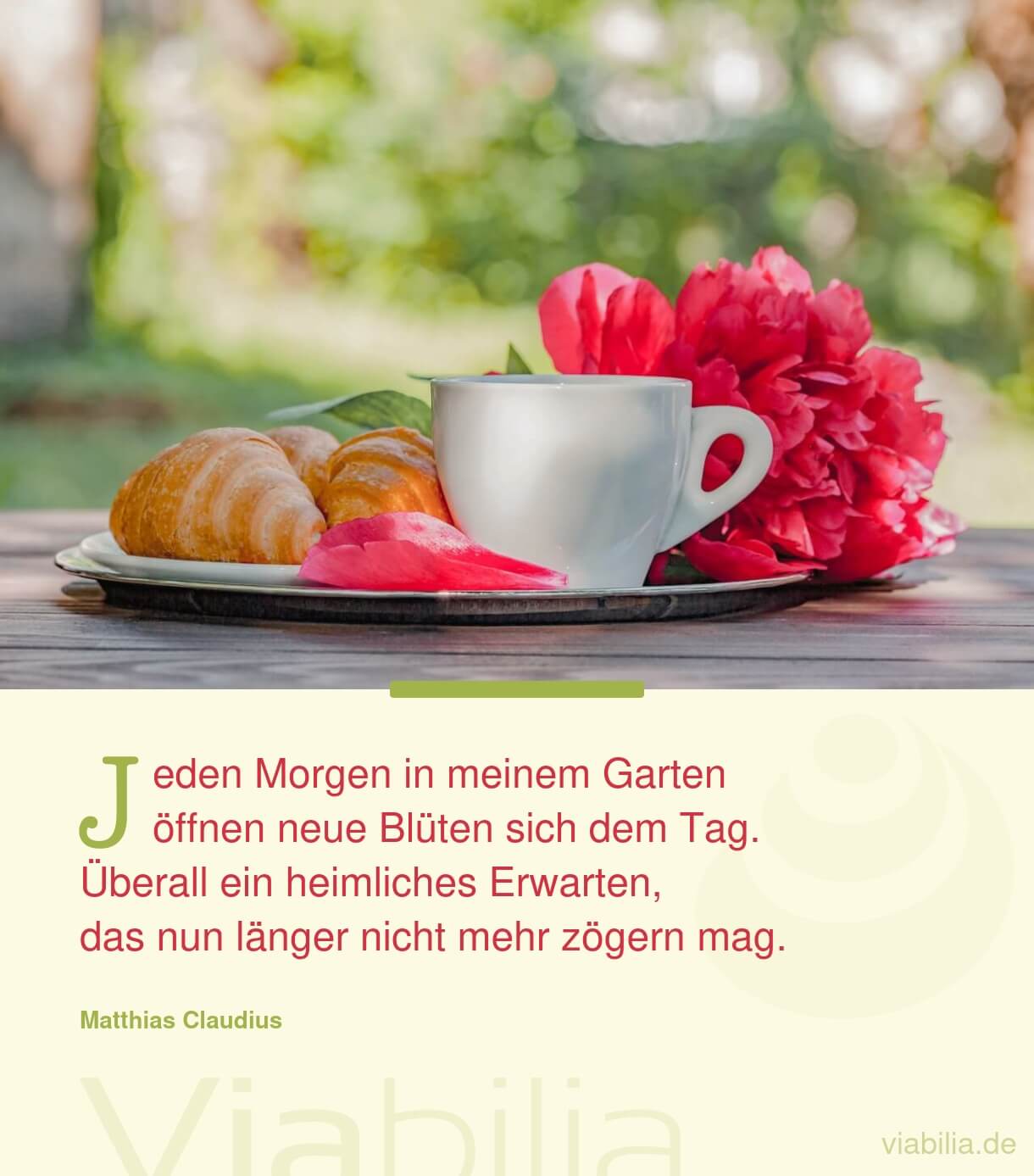 Blumenspruch: jeden Morgen öffnen sich Blüten