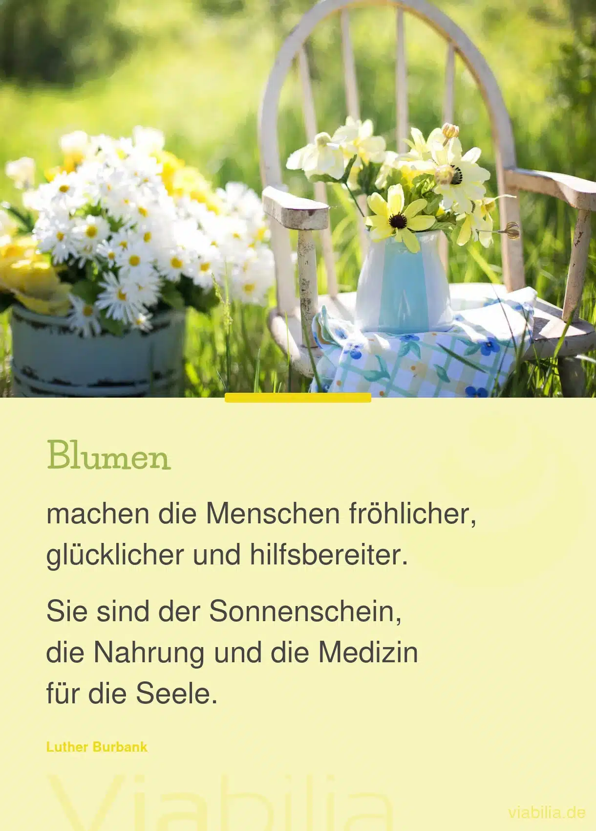 Spruch über Blumen als Nahrung für die Seele
