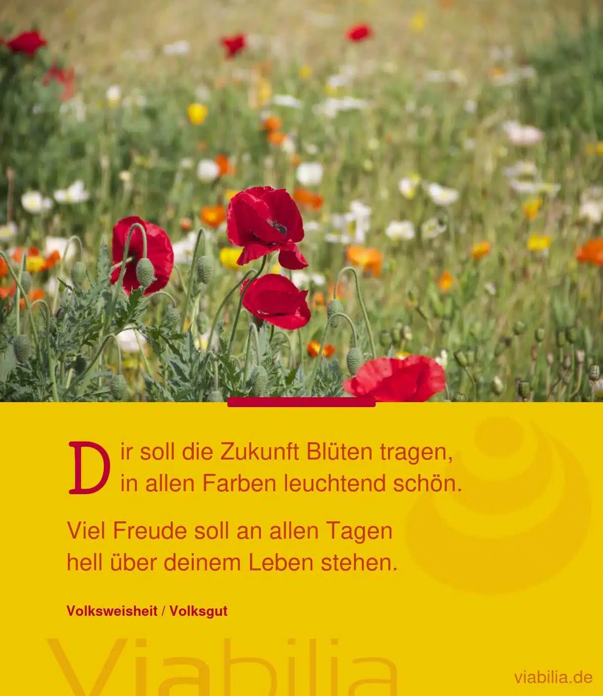 Blumenspruch: dir soll die Zukunft Blüten tragen