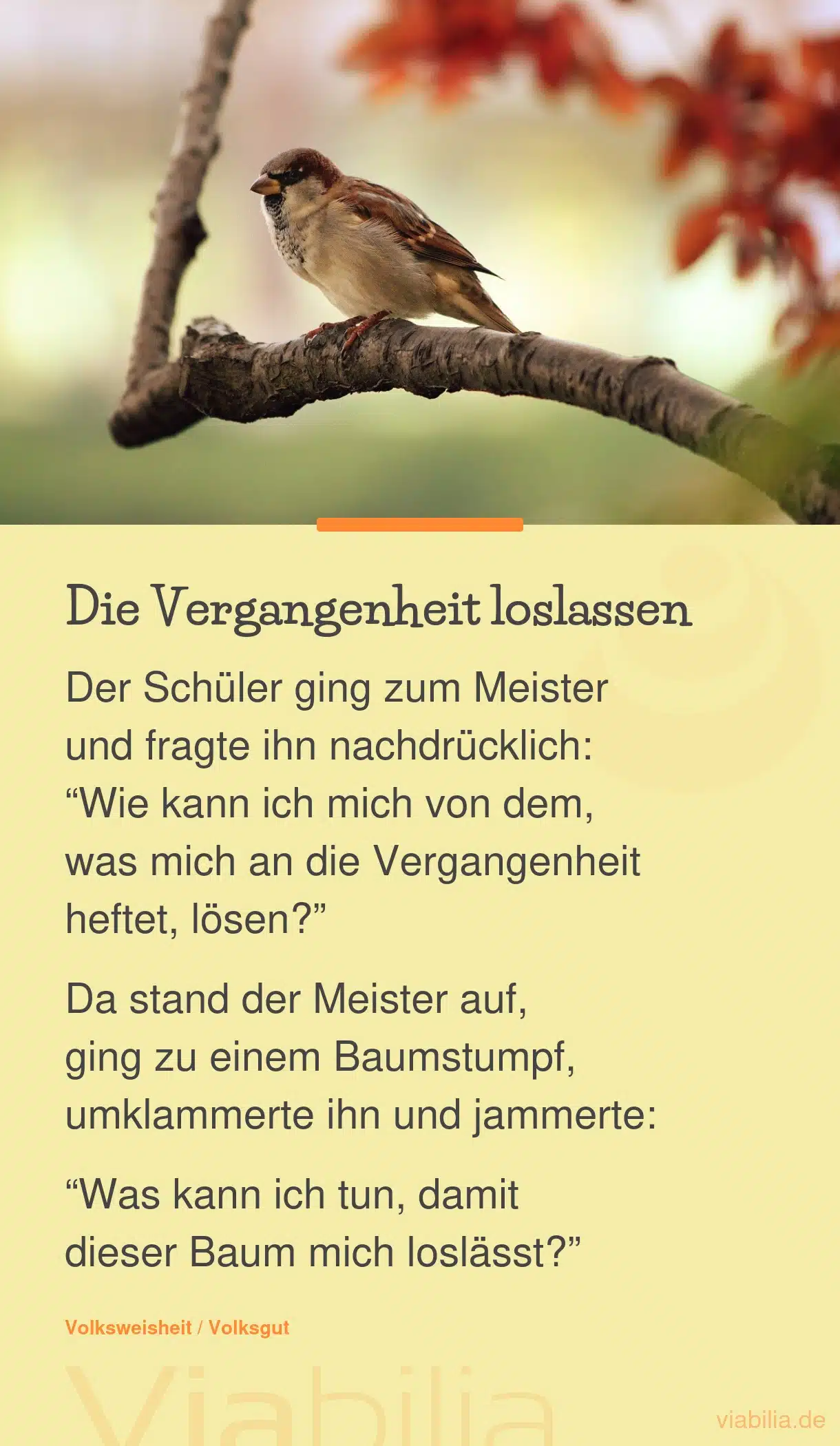 Weisheiten aus dem Zen-Buddhismus