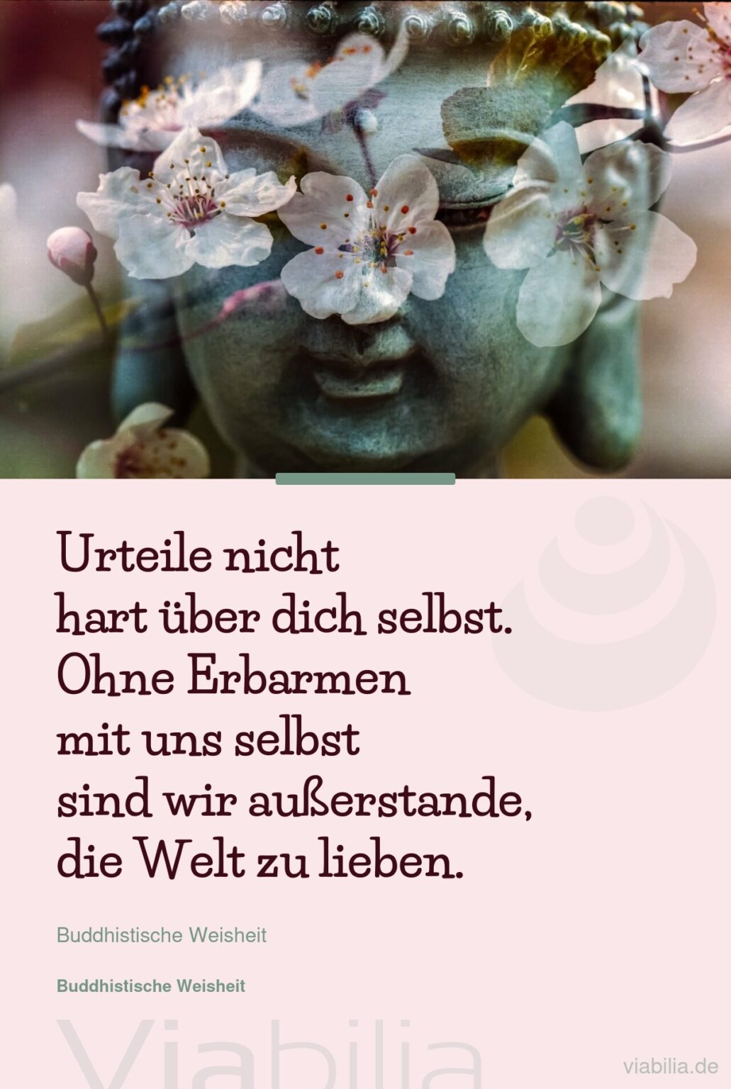 Buddha Weisheiten Wahre Liebe