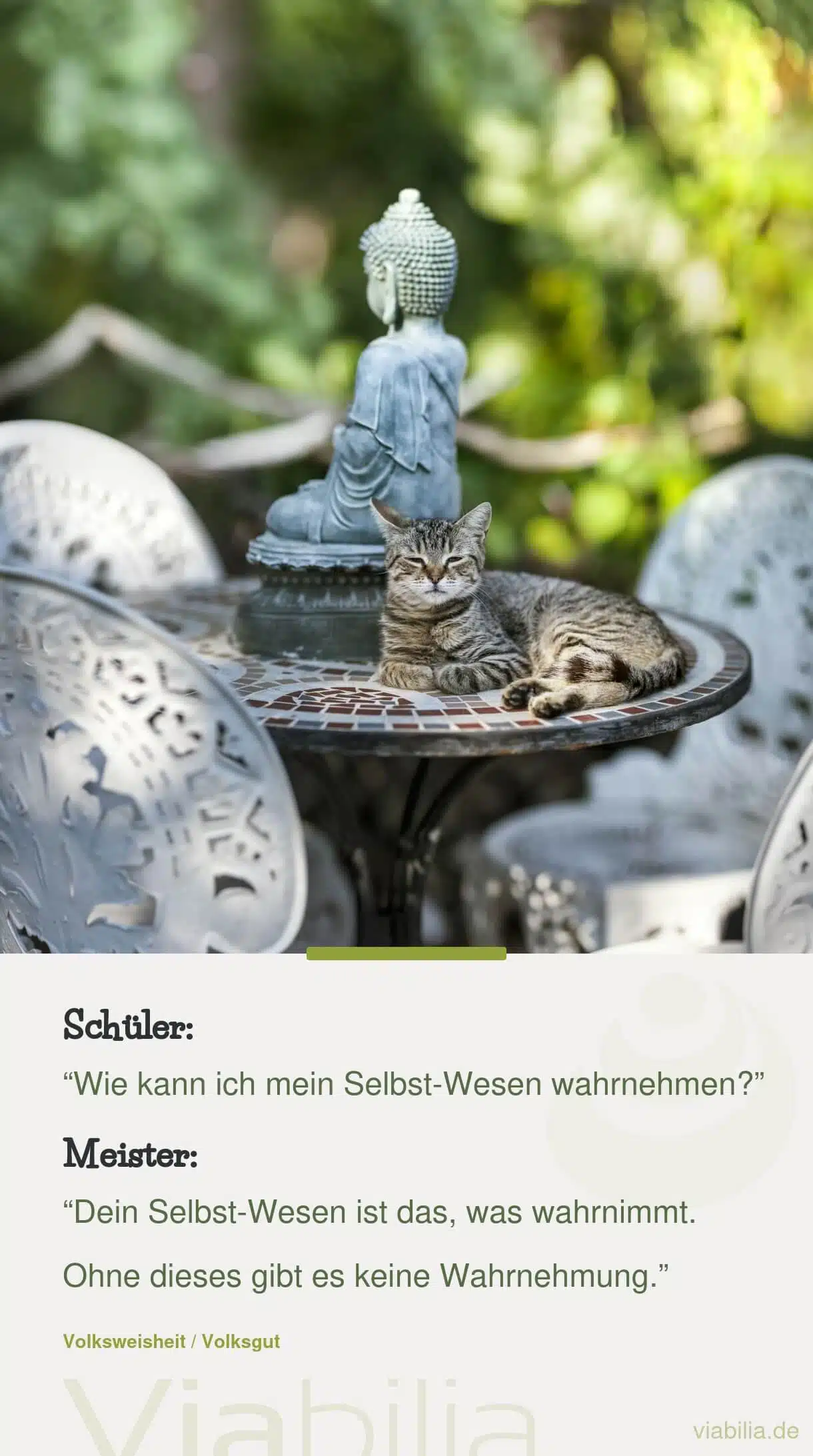 Zen-Weisheit mit Bild