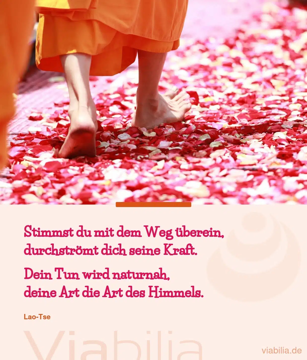 Lao Tse Weisheiten vom MeisterPhilosoph
