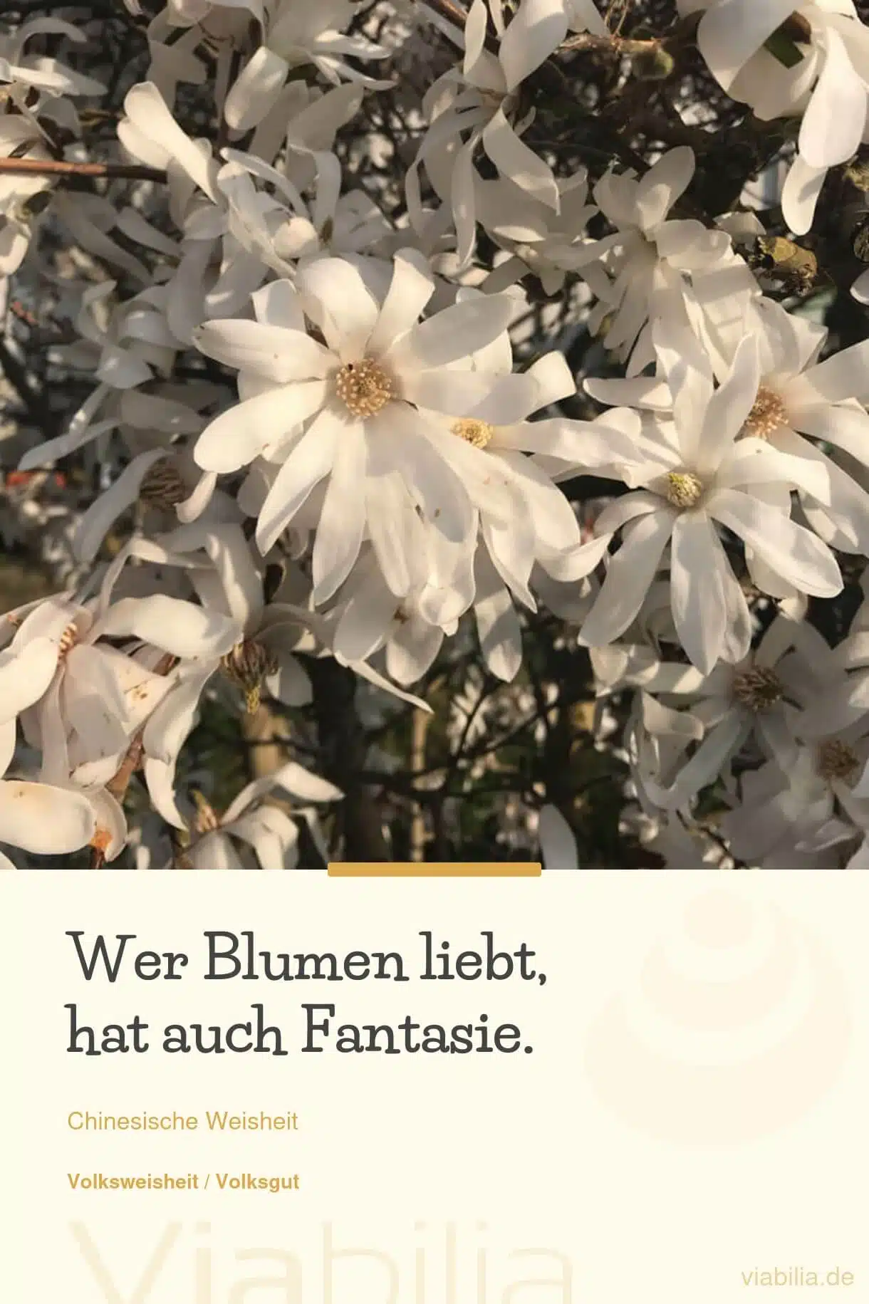 Chinesische Weisheit: wer Blumen liebt