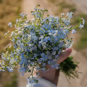 Weisheiten zur Dankbarkeit