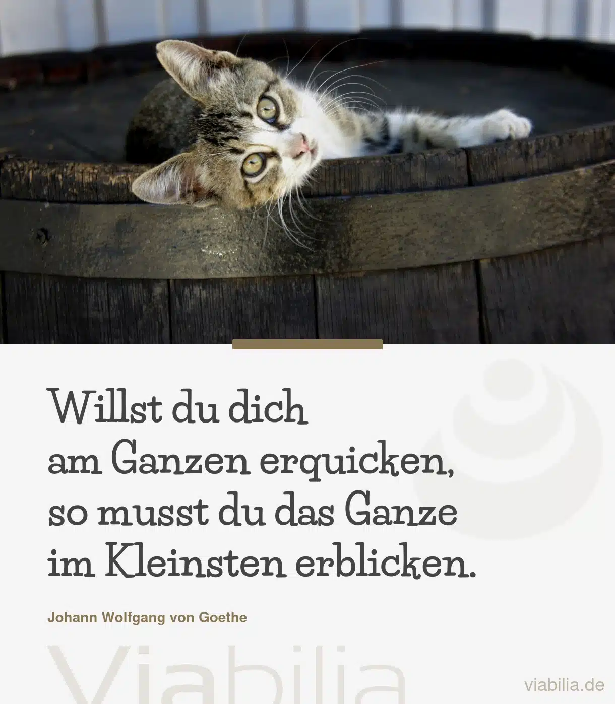 Spruch: das Ganze im Kleinen durchblicken