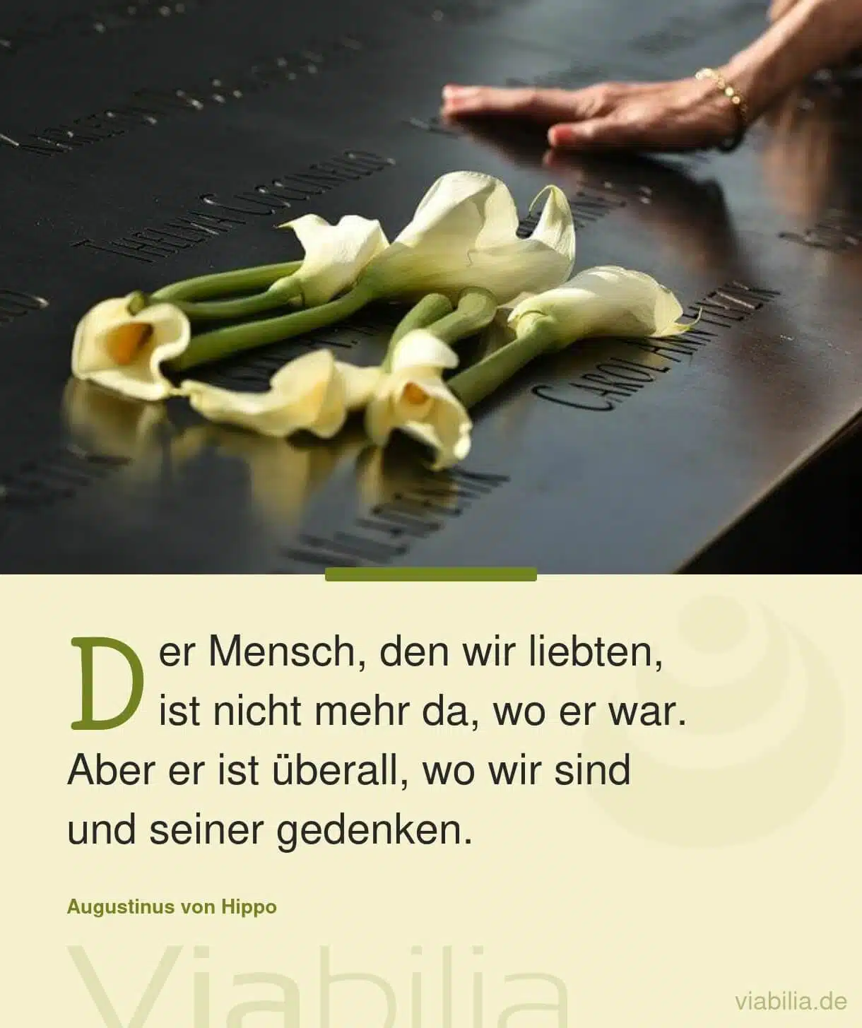 Liebevolle Trauersprüche über 100 mitfühlende Spruchbilder