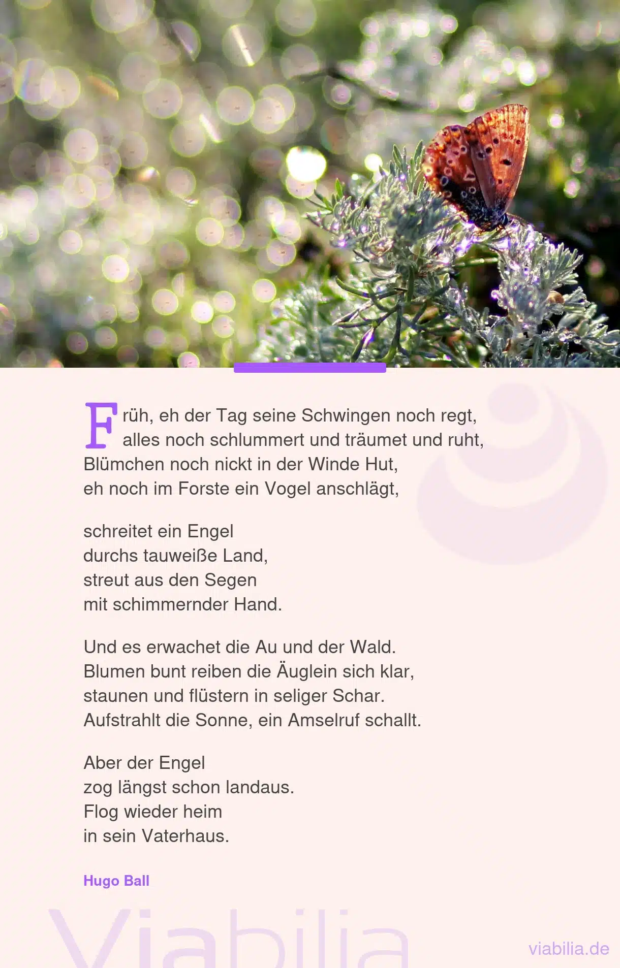 Engel-Gedicht: ein Engel schreitet am Morgen durchs Land