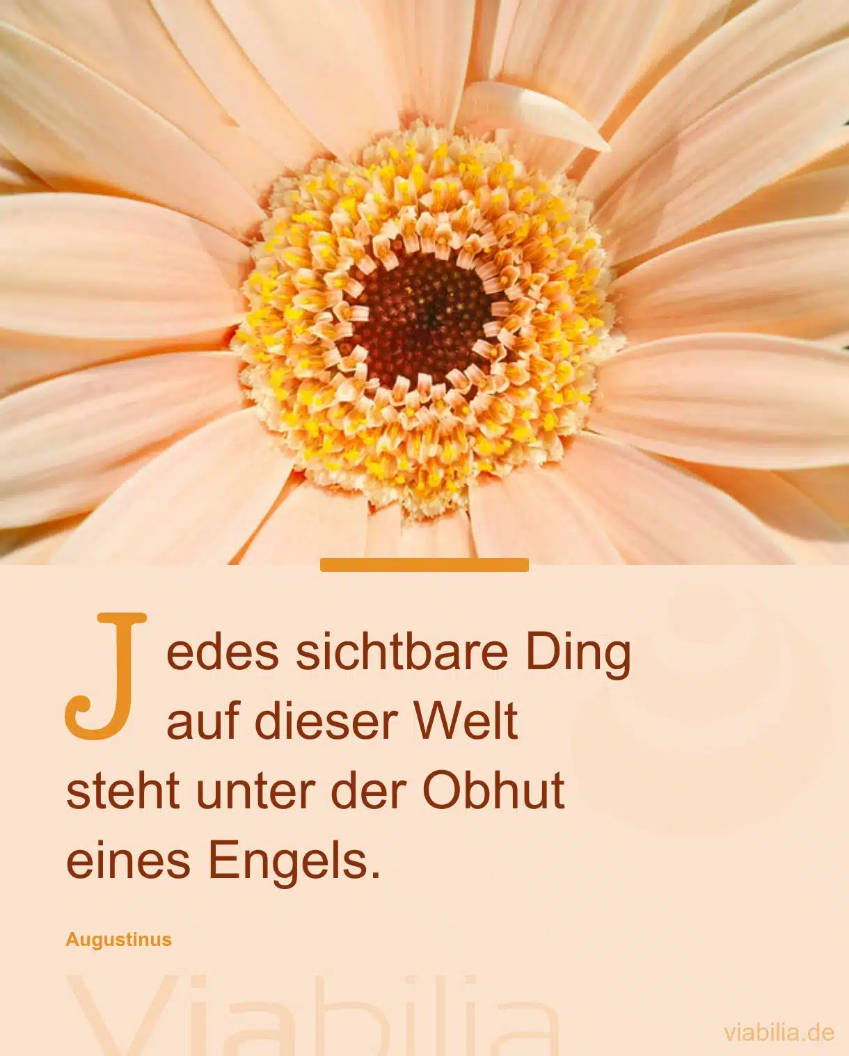 Spruch über Obhut der Engel