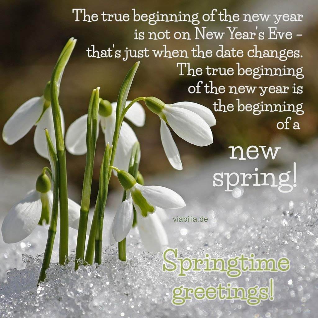 Englische Frühlingsgrüße - Beginning