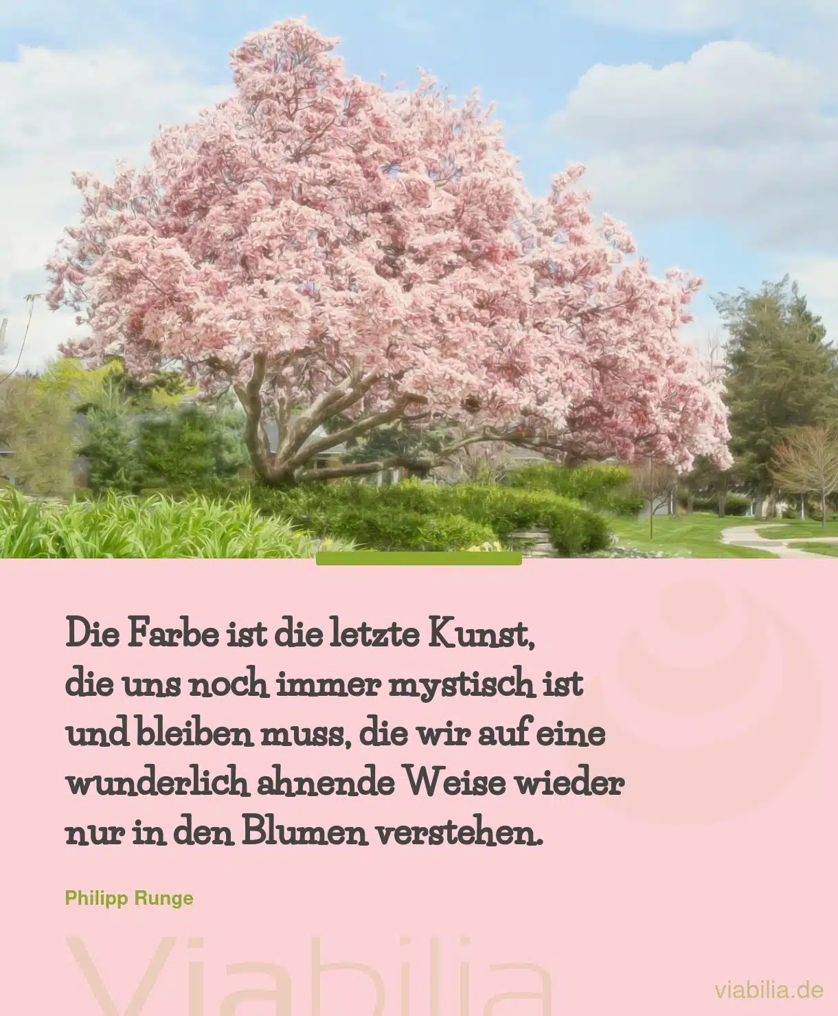 Farbe als mystische Kunst