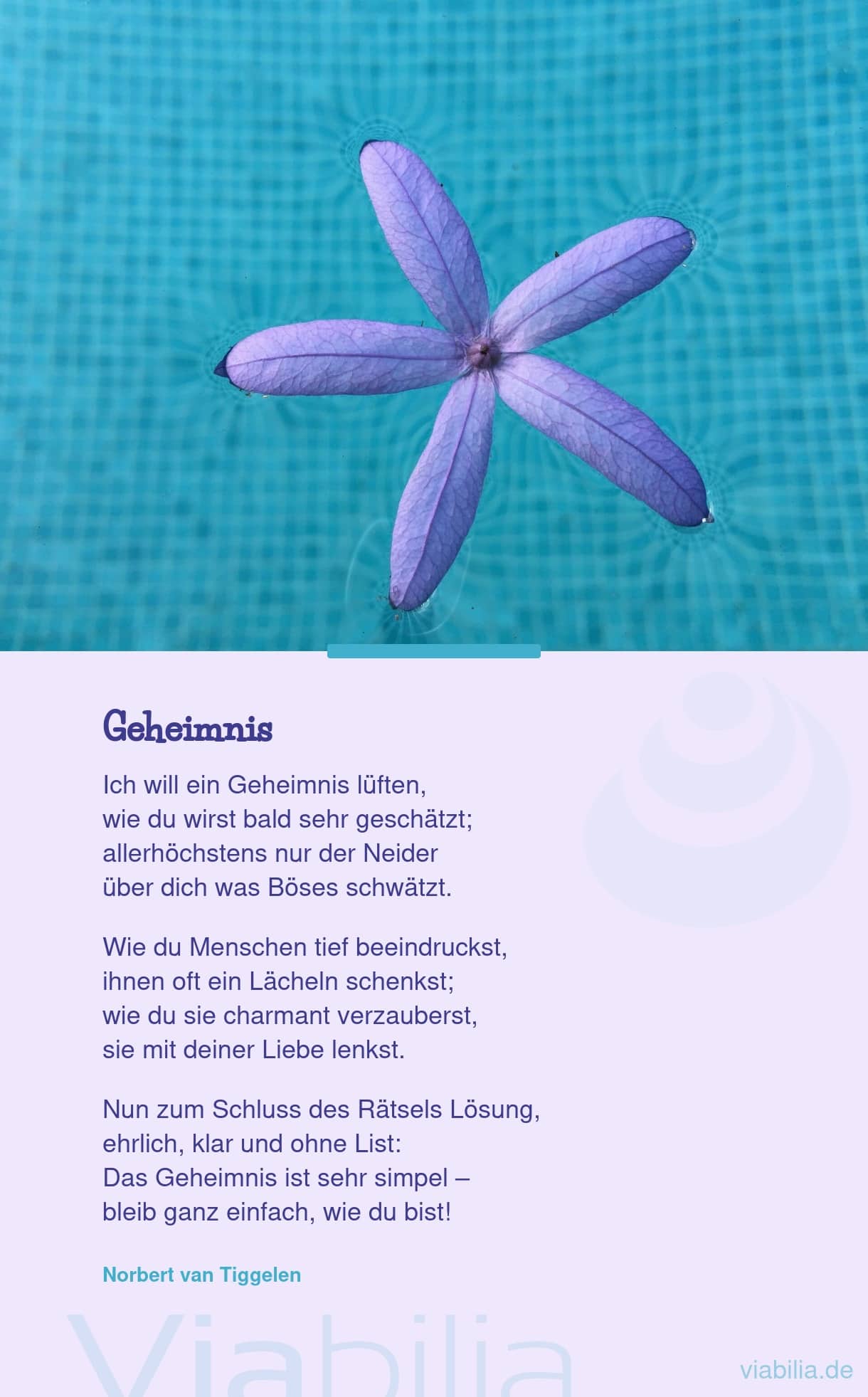 Freundschaftsgedicht: Geheimnis