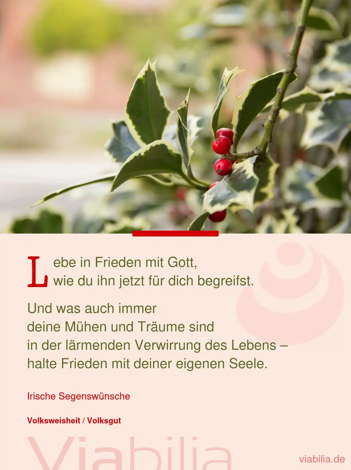 Spruch über das Leben in Frieden mit Gott Spruch über das Leben in Frieden mit Gott