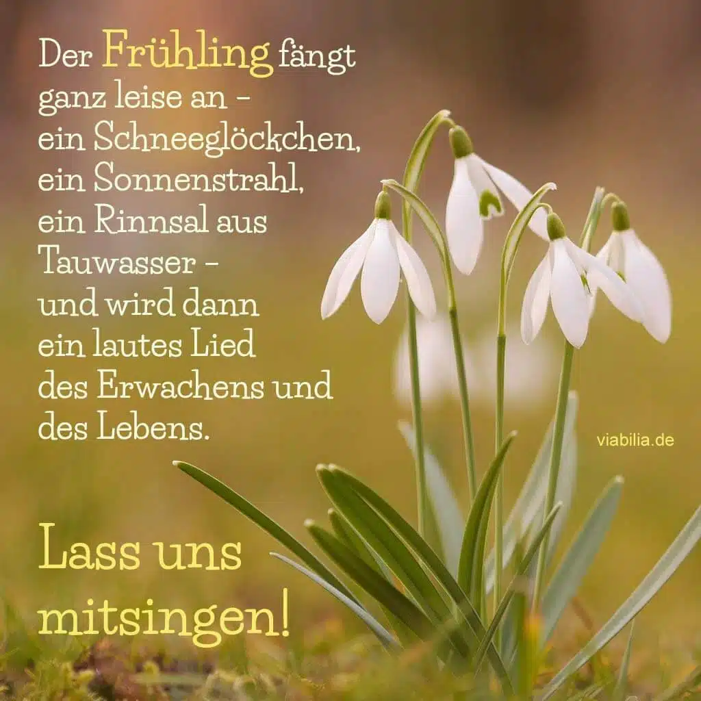 Frühlingsgrüße mit einem Frühlingsspruch via WhatsApp & Co. schicken