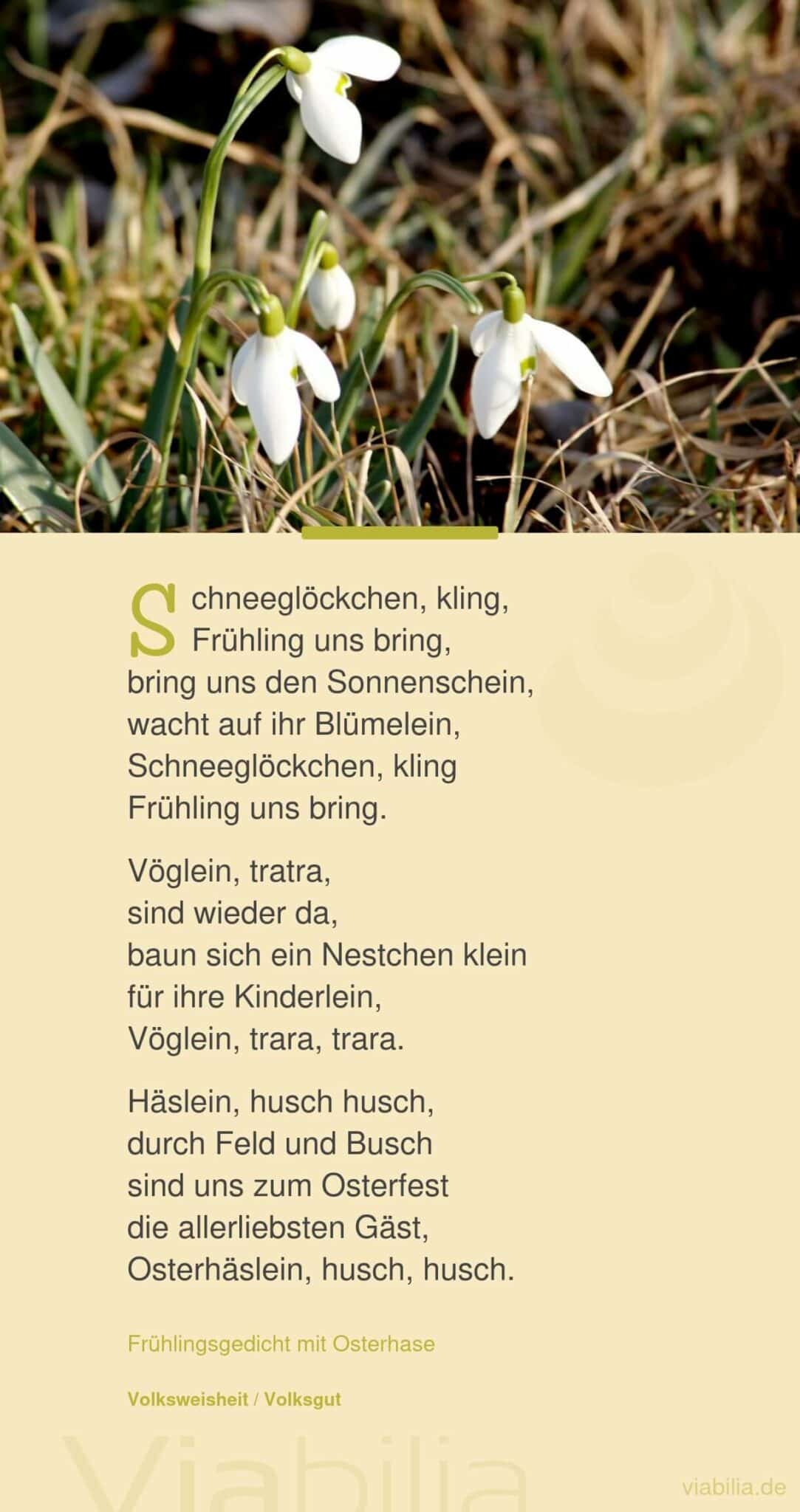 Frühlingsgedicht: Schneeglöckchen kling Frühlingsgedicht: Schneeglöckchen kling
