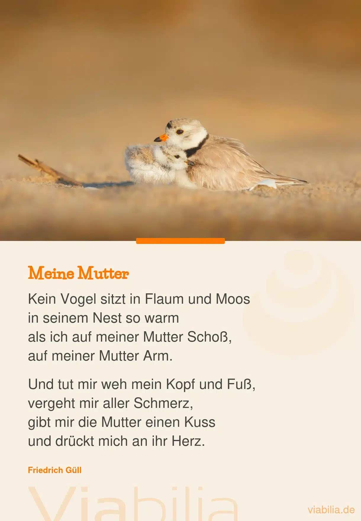 Muttertagsgedicht: Meine Mutter